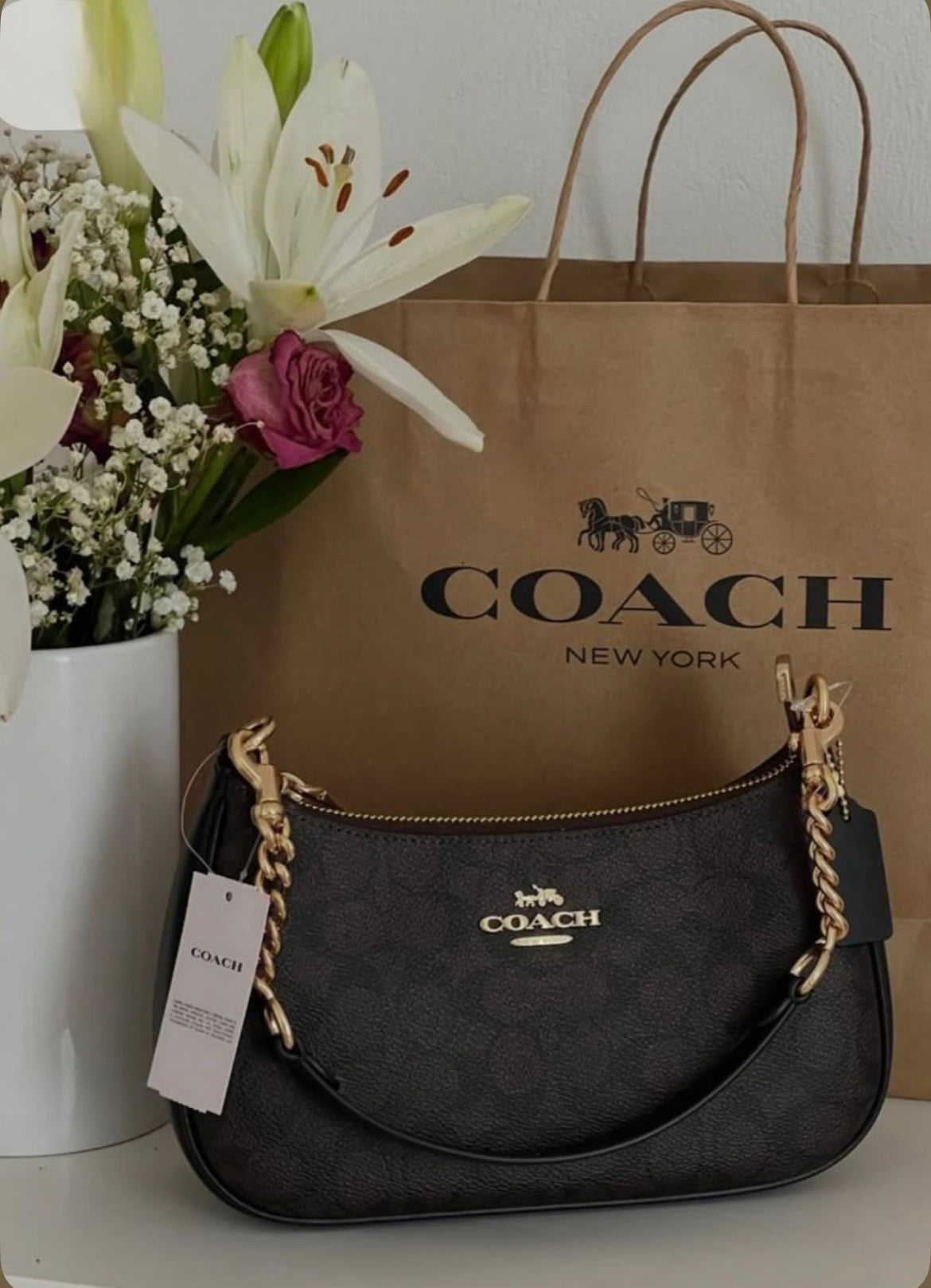 Brown Coach Teri Bag