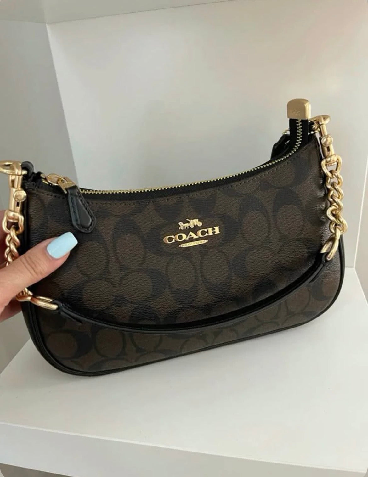Brown Coach Teri Bag