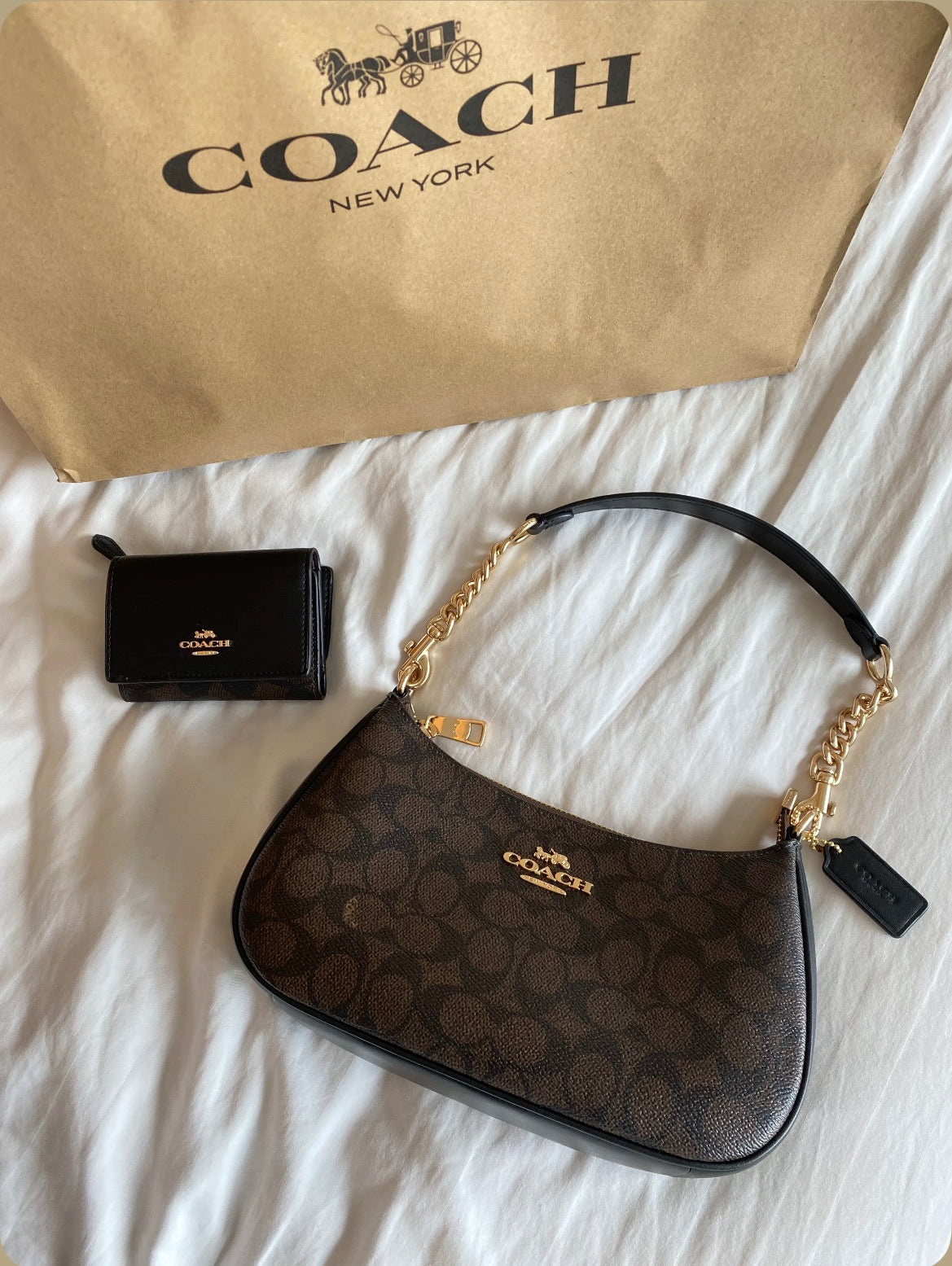 Brown Coach Teri Bag